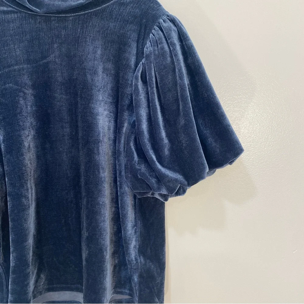 Free People Claudia Velvet Mock Neck Top‎